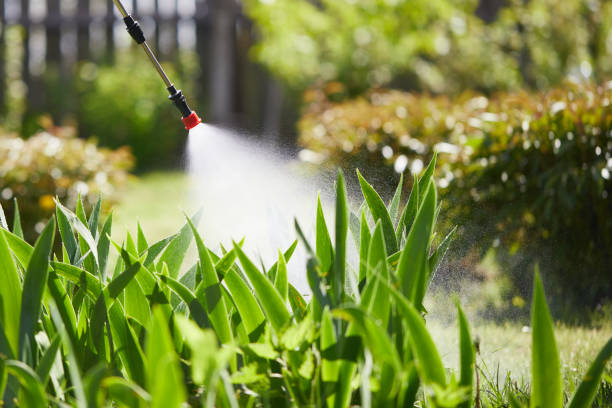 24/7 Emergency Wasp Removal experts in Hill 'n Dale, FL