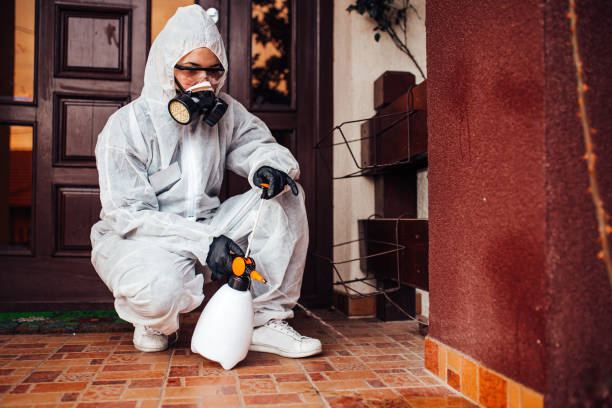 Reliable Wasp Removal contractor in Hill 'n Dale, FL by Show Me Pest Control